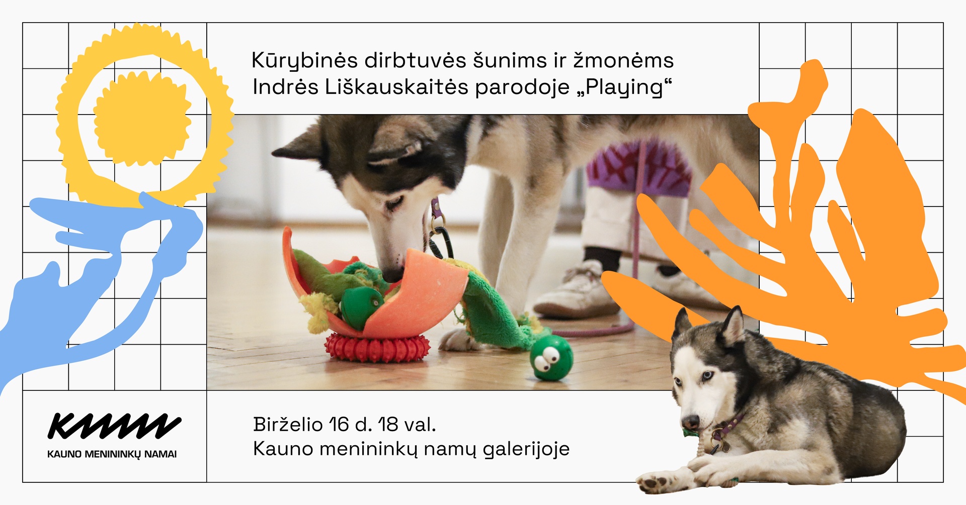 Dirbtuvės šunims